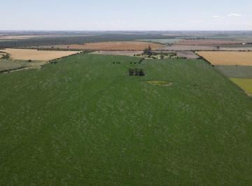 Campo , Gualeguaychú · 101 Hectáreas Agrícolas con Excelente Acceso, Gualeguaychú.