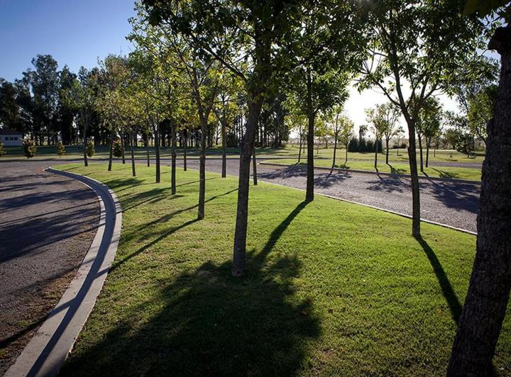Terreno · 1356m²
