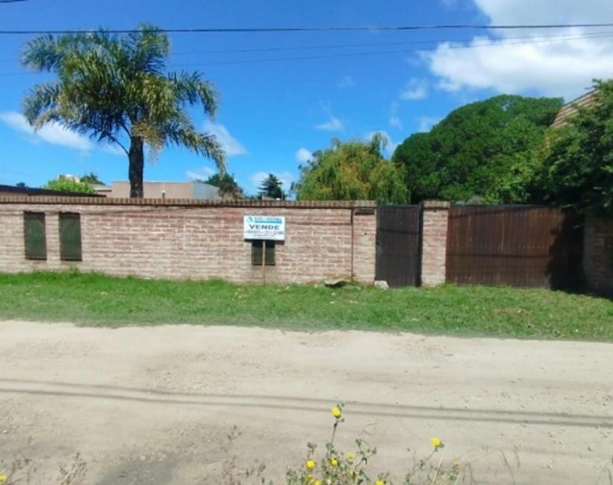 Excelente lote con mejoras Barrio Jardín, muy próximo a Avenida Mario Bravo