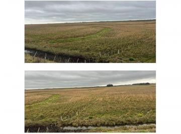 Campo , Uruguay · Vendo Campo Ganadero en Salto, Uruguay de 2.244 Ha