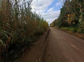 Terreno · 221m² · Vdo 2,5 Has Campo C Casa y Galpon 1500 m de Ruta 9