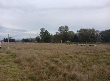 Terreno · 853m² · Terreno Venta Cañuelas Ruta 3 Km 75