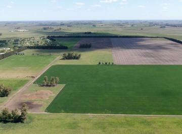 Campo · 155ha · Campo en Venta de 155 Ha - Ruta 6 Km 129 - Marcos Paz