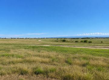 Terreno · 433m² · Lote Las Tipas 450 m² Central