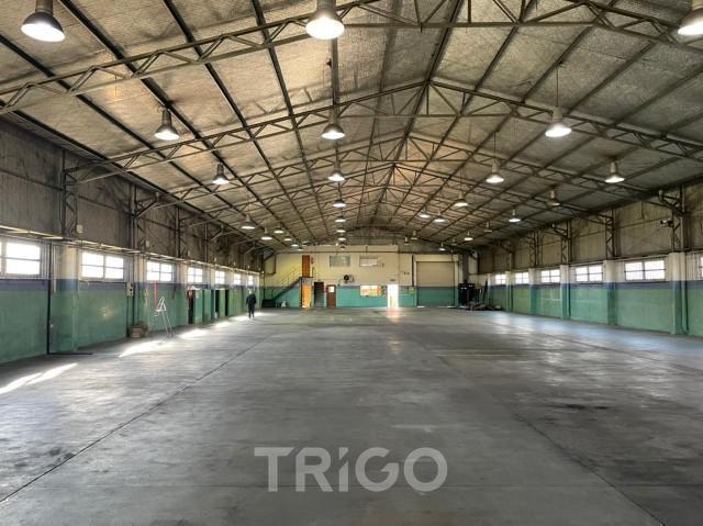 Depósito · 3145m² · 2 Ambientes · 4 Cocheras
