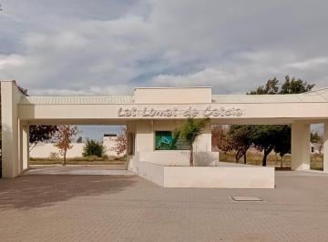 PORTAL DE INGRESO · Venta Terreno San Rafael Barrio Cerrado "Lomas de Cascia"