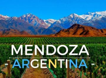 Bodega-Galpón · 294000m² · Viñedo 294hra Mas Bodega 94hra