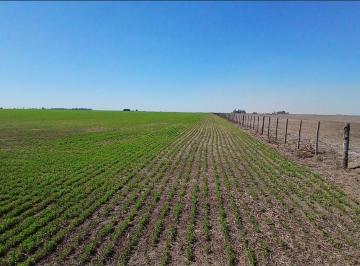 Campo · 201ha · Se Vende Campo de 201 Ha en Sta. Teresa, Sta. Fe
