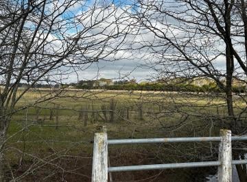 Campo · 120000m² · 1 Ambiente · Campo Desarrollo Inmobiliario Exaltacion de La Cruz