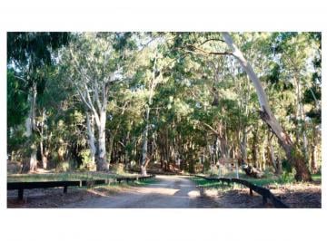Terreno · 1100m² · Northbeach Lotes en Pinamar Venta