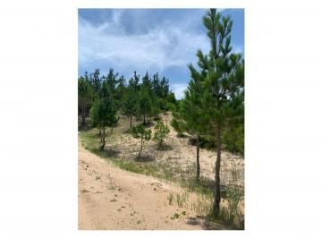 Terreno · 1160m² · Northbeach Lotes Pinamar Venta