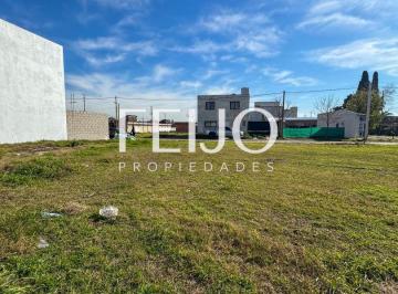 RFP-RFP-1869_2 · Lote. | Tapalque