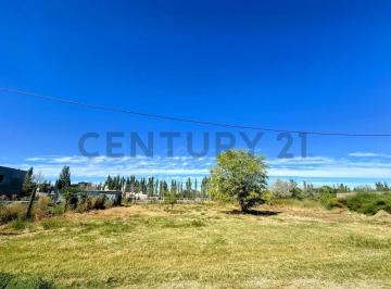 Terreno · 370m² · Terreno de 370 m² en Venta – Stefenelli, General Roca | Posibilidad de Comprar Dos Lotes Juntos