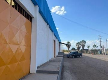 Bodega-Galpón de 2 ambientes, Maipú · Imponente Galpon Industrial en Alquiler