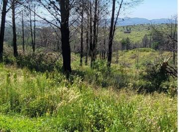 Foto · Venta Terreno Villa del Condor Barrio Cerrado 1 Hectarea Escritura