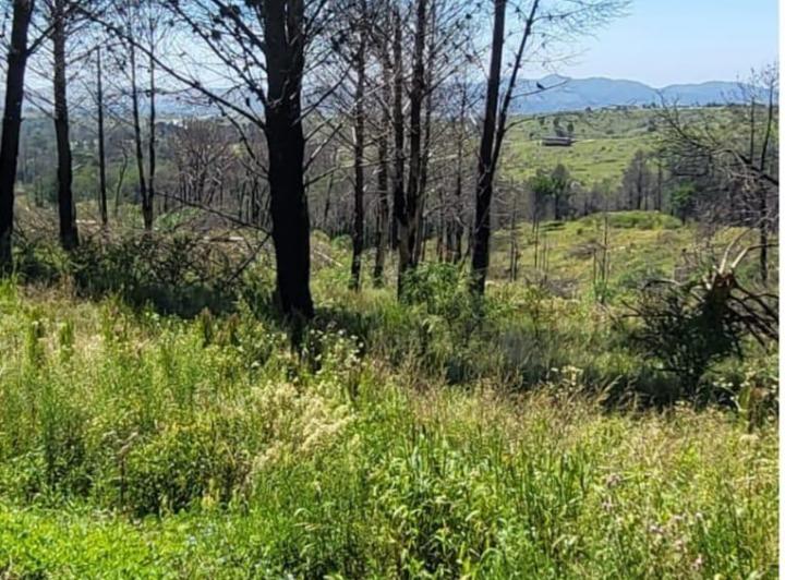 Terreno · 11m² · 1 Ambiente