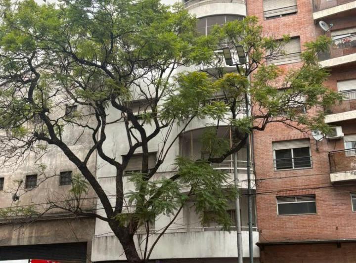 Departamento 3 Ambientes en Pb con Salida a Parque Comun del Edificio