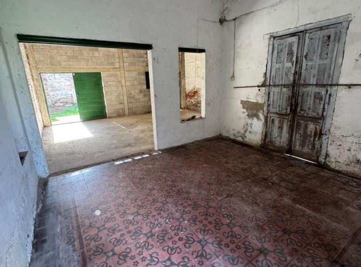 Bodega-Galpón