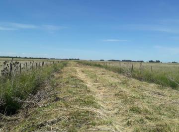 Campo · 310000m² · Campo en Venta - - m - La Plata