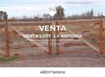 Terreno · 450m² · Venta Terreno La Antonia Fdez Oro.