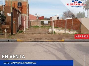 HGP-HGP-9624_2 · Lote | Baroni Al 100