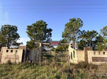 Campo · 120m² · Estratégica Fracción de 12 Hectáreas con Doble Acceso (Ruta 11 y Aguas Verdes)