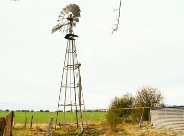 Campo , Villaguay · Campo Mixto en Venta. Entre Rios Villaguay. 162 H. Muy Productivo, No Anegable