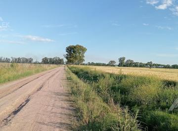 Campo · 60ha · 3 Ambientes · Venta Chacra Campo 5.5 Ha Casa - Marcos Paz - Virrey del Pino