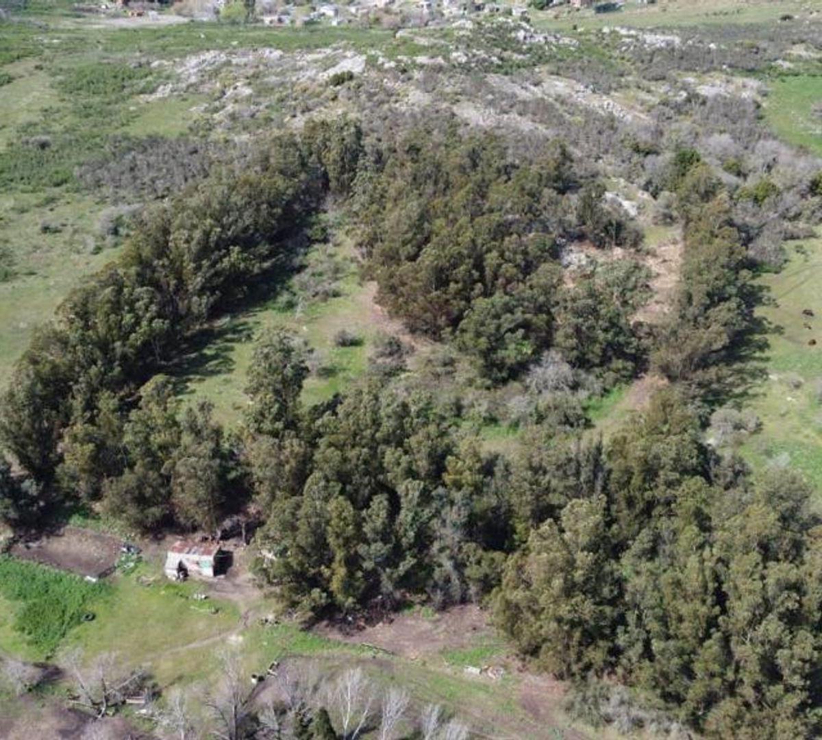 Terreno 40332m² en venta sobre Juan Bulewski, Centro