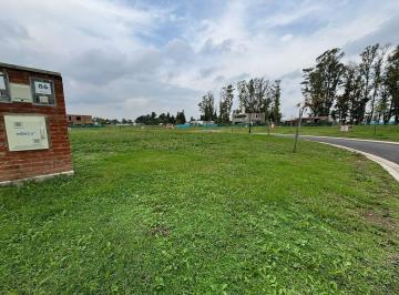 Terreno · 550m² · Lote en Barrio Santa Sofia Pilar del Este