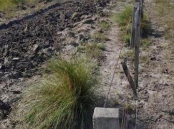 Campo · 2200ha · Campo Ganadero 2200 Ha en Logroño