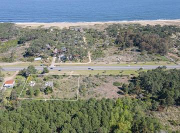 Terreno · 8025m² · Venta Terreno en Punta Ballena Para Desarrollo