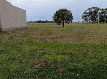 Terreno · 262m² · Terreno en Venta a 4 Cuadras del Centro