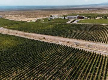Terreno · 12697m² · Casa de Uco Vineyards & Wine Resort