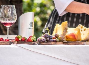 Terreno , Ciudad de Mendoza · Casa de Uco Vineyards & Wine Resort