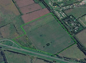 Campo · 1050000ha · 105 Hectáreas en Venta Sobre Acceso Oeste y Ruta 6 – Luján | Ideal Desarrollo Inmobiliario
