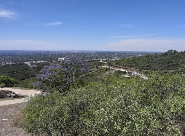 Terreno · 1000m²
