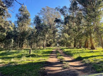 Terreno · 311m² · Venta Lote de 311,20 m² en Parque Bristol
