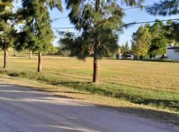 Terreno , Brandsen · Lote Campos de Roca II