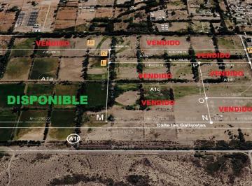 Terreno · 60000m² · Venta - Ha Adto Desarrollo - Zona Exclusiva - Añelo - Neuquén