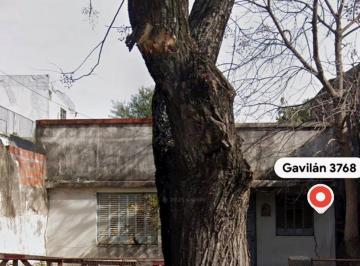 Terreno , Agronomía · Excelente Lote Sobre Gavilan Entre Pedro Moran y Mariscal Solano Lopez