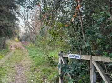 Campo , Mercedes · Chacra en Venta de 55000 m² Ubicado en Mercedes