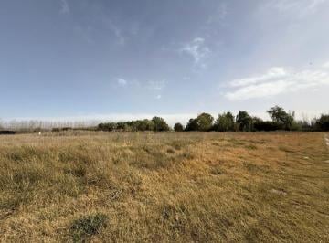 Terreno , Tunuyán · Terreno / Lote en Venta de 799 m² Ubicado en Tunuyán