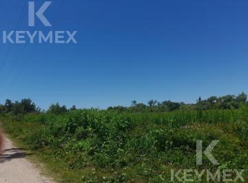 Terreno · 3718m² · Lote en Venta en Playa Bagliardi, Berisso – 3.717 m² de Naturaleza y Tranquilidad