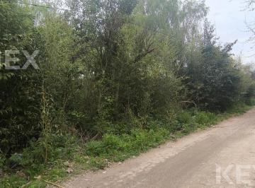 Terreno · 3718m² · Lote en Venta en Playa Bagliardi, Berisso – 3.717 m² de Naturaleza y Tranquilidad