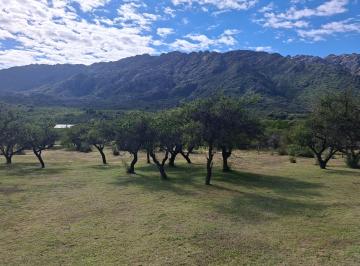 Terreno , Cortaderas · Vendo Campo de 17 Ha Sobre R1 a La Entrada del Dique
