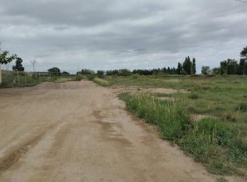 Terreno · 45954m² · Venta Terreno Colonia Segovia Guaymallen Mendoza