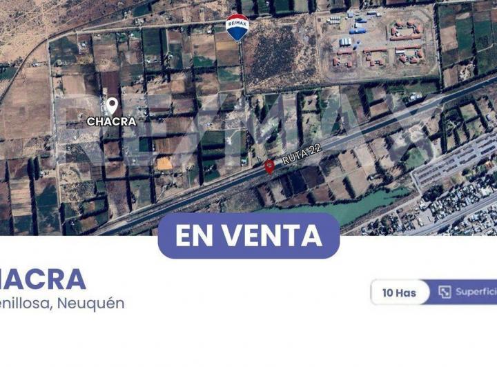 Campo · 40ha
