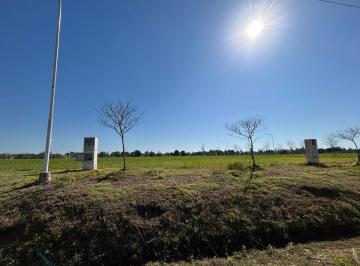 Terreno · 538m² · Venta Lote en Esquina Sobre Av Argentina