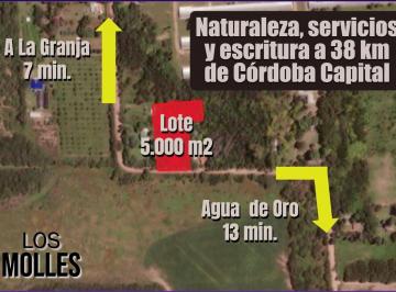 Terreno · 5000m² · Terreno 5.000 m² Para Cabañas o Casa de Descanso